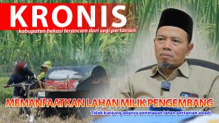 ALARM BAHAYA, LAHAN PERTANIAN DI KABUPATENBEKASI SEMAKIN KRONIS